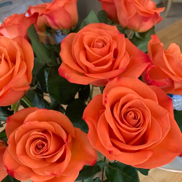 Meet your Posher, Viktoriya - Picture 1 of 1